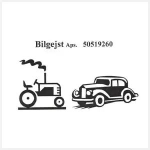 Bilgejst Aps. 300x300px logo kopier