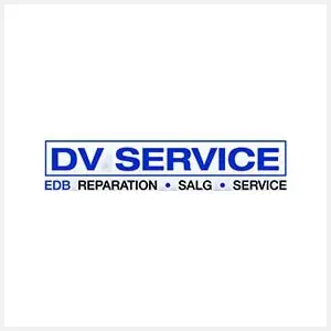 DV Service 300x300px logo